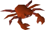 Red Crab Hunter training in OSRS