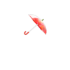 Cherry Umbrella