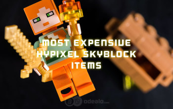 The Most Expensive Items In Hypixel Skyblock Odealo