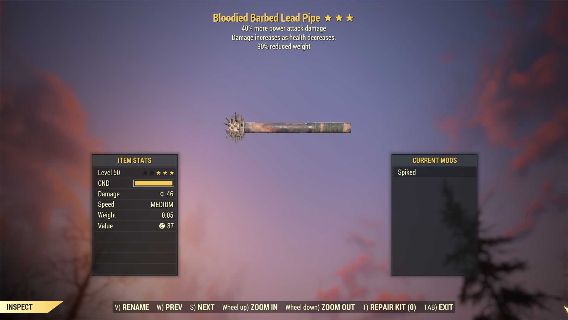 Bloodied Lead Pipe (+40% damage PA, 90% reduced weight)