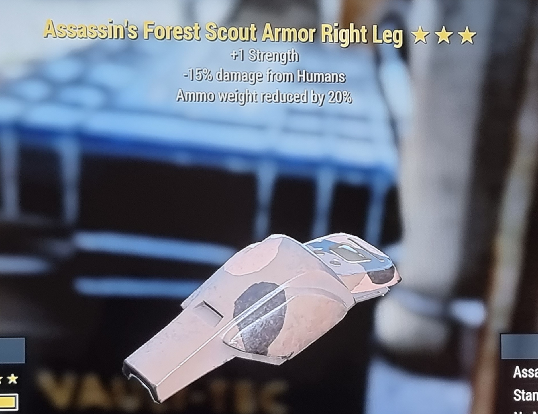 Assassins ammo Weight reduction +1 strength forest right leg FALLOUT 76 PS4