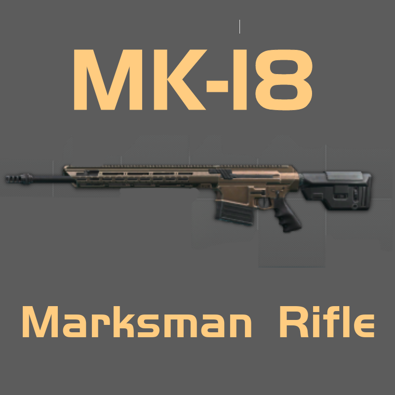 SWORD International MK-18 .338LM marksman Rifle ✅Instant Delivery✅