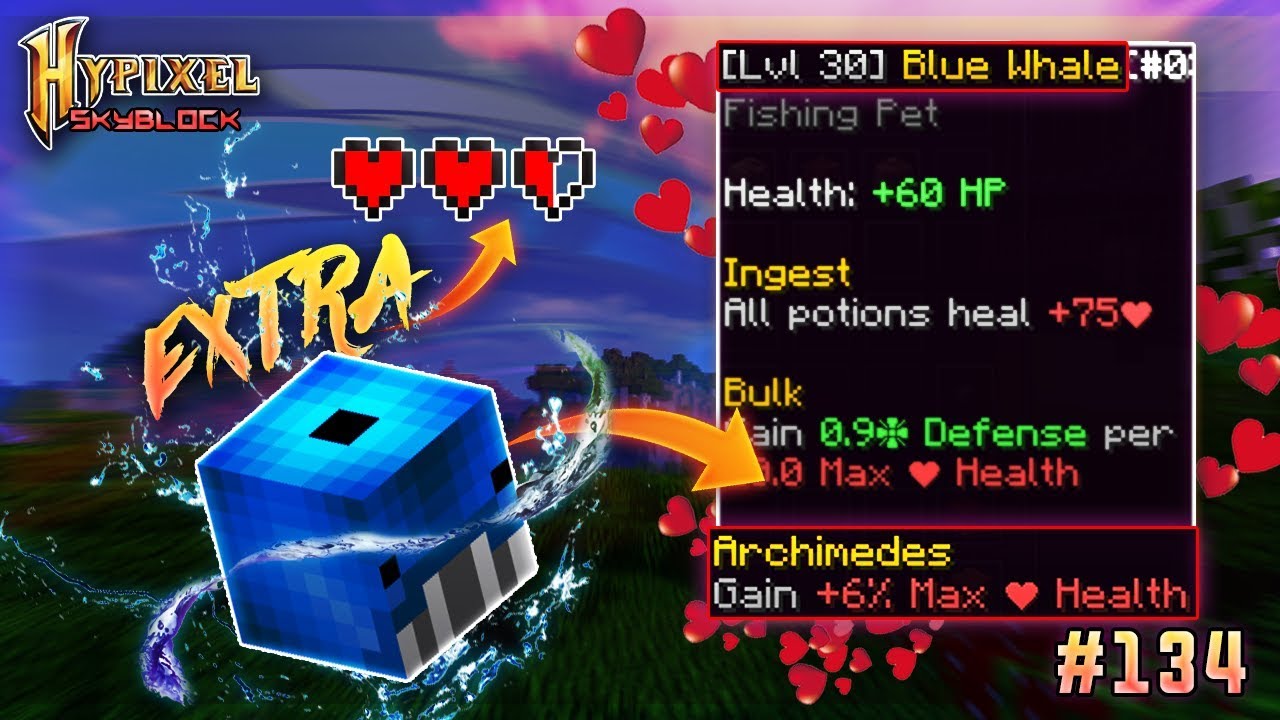 Blue Whale Hypixel Skyblock Buy BEST PET FOR MORE HEALTH +80lv in MINECRAFT: HYPIXEL Items - Offer #23732132