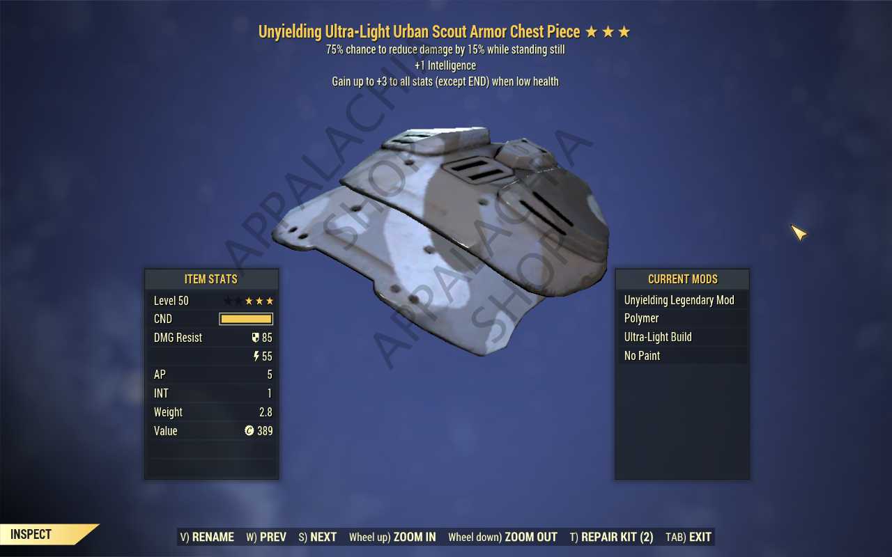 [UNY INT SENT]Unyielding Sentinel Scout Armor Set (+5 INTELLIGENCE) [Urban]