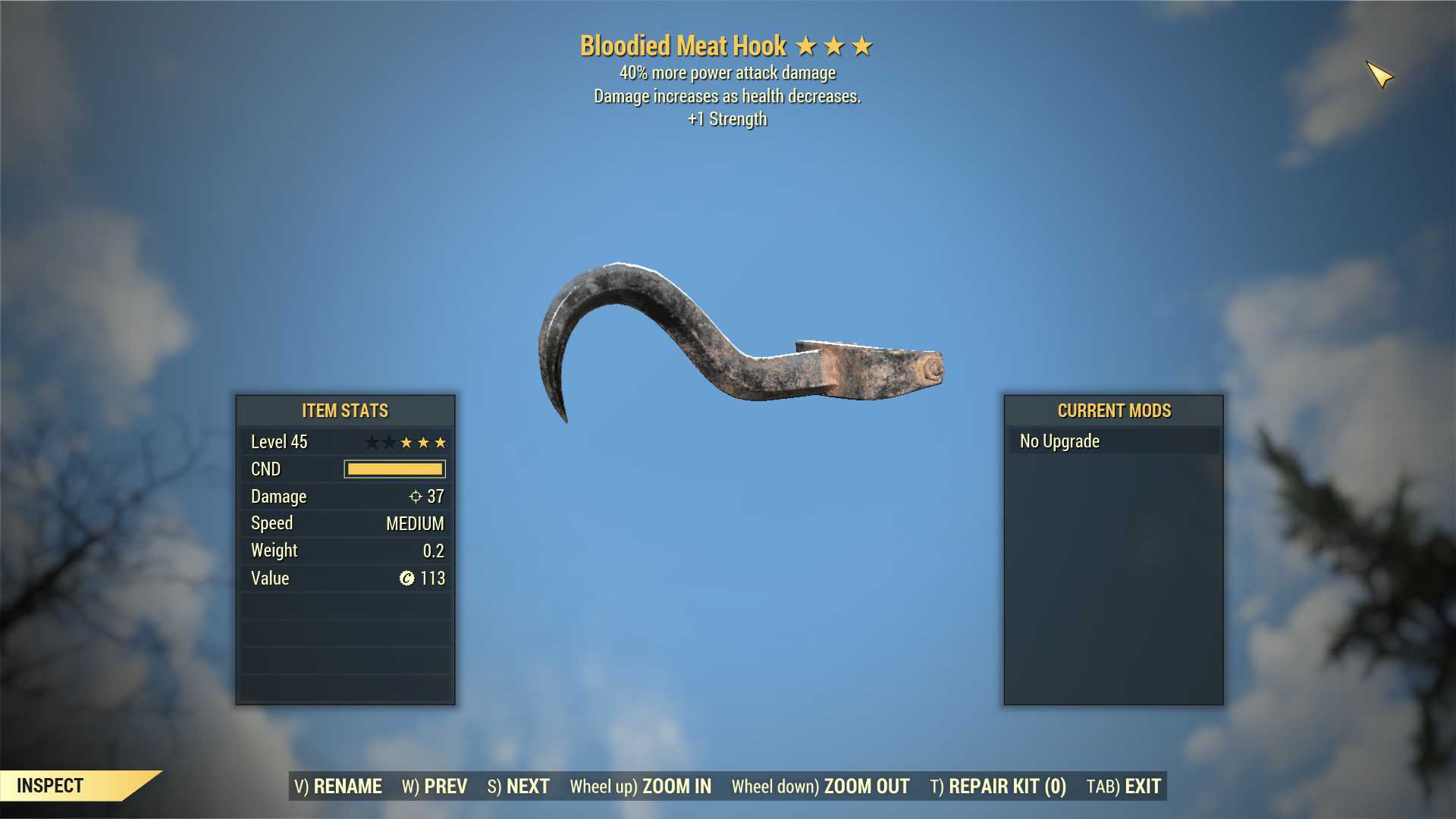 Bloodied Meat Hook (+40% damage PA, +1 Strength)