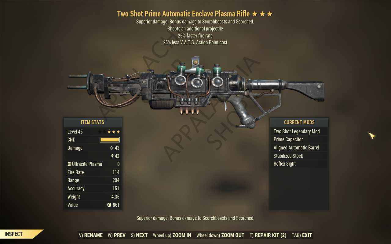 Two Shot Enclave Plasma rifle (25% faster fire rate, 25% less VATS AP cost)