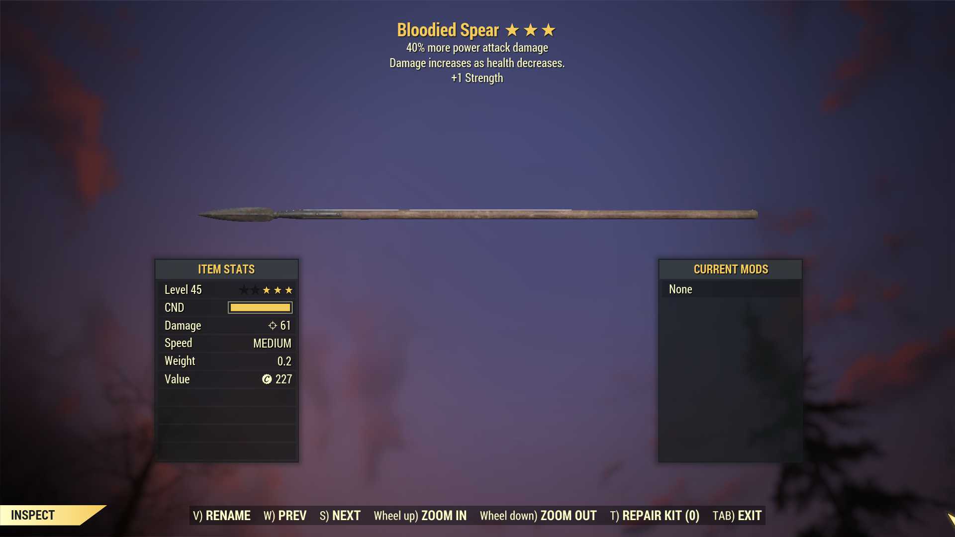 Bloodied Spear (+40% damage PA, +1 Strength)