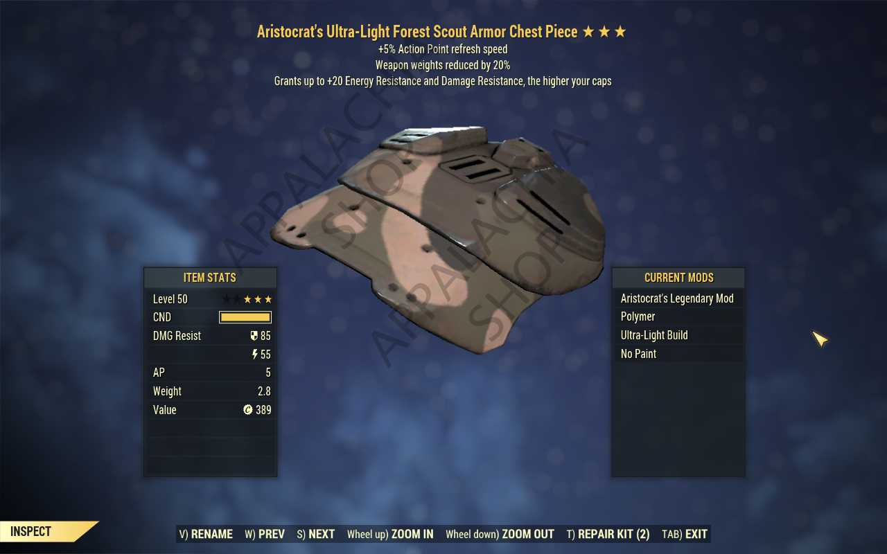[ARI AP WWR]Aristocrat's Weapon Weight Reduction Scout Armor Set (5/5 AP) [Forest]