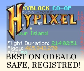 Hypixel Skyblock coins only 0.90$. Instant delivery. Safe deliver