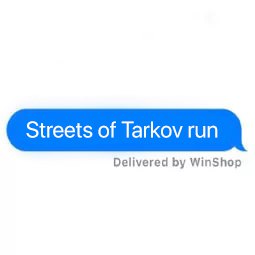 STREETS OF TARKOV RUN ✅ | Carry | Raid
