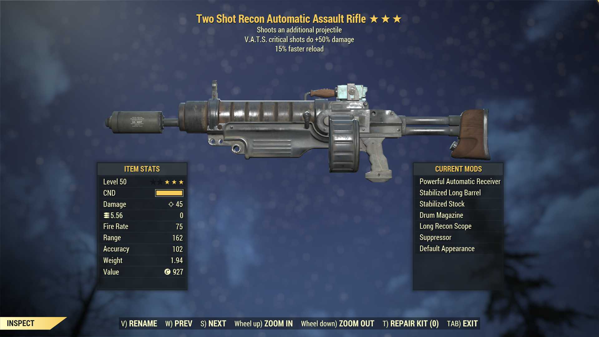 Two Shot Assault Rifle (+50% critical damage, 15% faster reload)