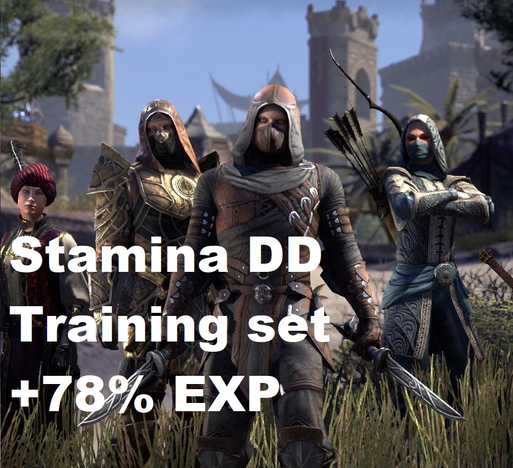 [NA - PC] 78% XP Boost - Full Epic Training Gear - Stamina DD