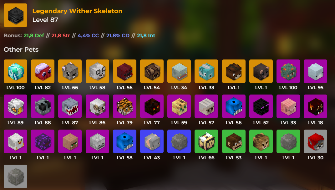 Buy ACCESSORY BAG AND PETS 111M WO in MINECRAFT HYPIXEL Items Offer