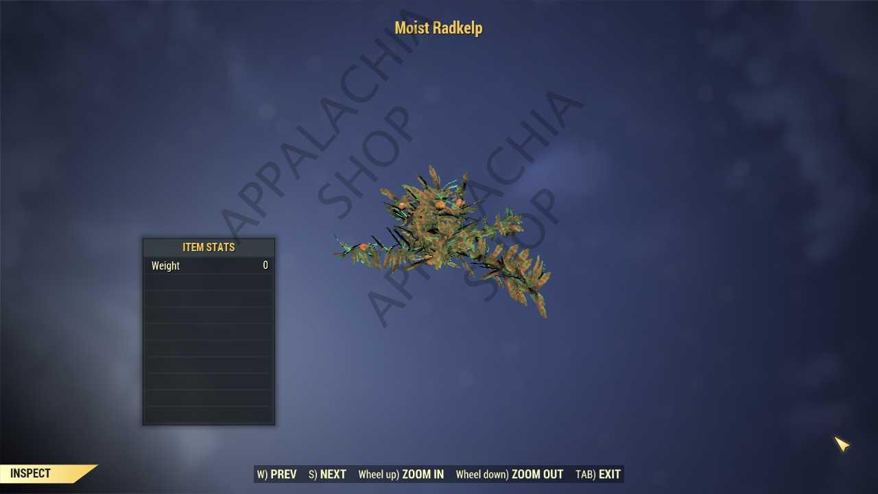 Buy Moist Radkelp [Collector item] in FALLOUT 76 Items - Offer #2629531423