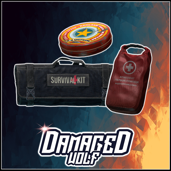 Buy ⚜️ 24 Ibuprofen + 24 Morph in ESCAPE FROM TARKOV Items Offer 2327999409