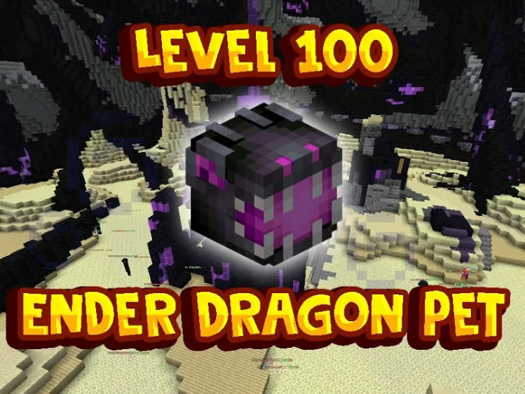 Buy ⭐HYPIXEL SKYBLOCK⭐ ENDER D in MINECRAFT HYPIXEL Items Offer