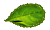 Leaf Small